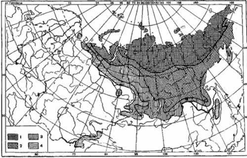 Реферат: Причины распространения многолетней мерзлоты на территории Восточной Сибири